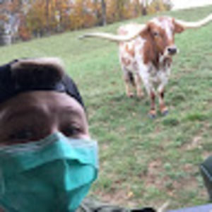 Meet your Posher, Liam